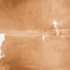 files/8606_b_c647d7ed-3f59-46a9-829f-e5ada3e5f8bb.jpg