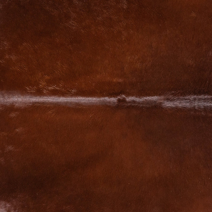 Brazilian Brown Cowhide Rug Size 8'0" L x 7'4" W 8608