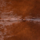files/8631_b_a85763b0-0cf1-4513-8335-fdb94d7d903b.jpg