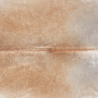 files/8645_b_bce2fe8a-76d2-41f6-a014-52e9ca958876.jpg