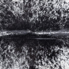 files/8701_b_2bedf25e-824e-4385-9702-8d63aa704357.jpg
