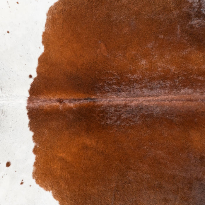 Brazilian Chocolate and White Cowhide Rug Size 6'4" L x 5'5" W 8709