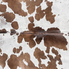 files/8719_b_03601203-7f16-47f4-a280-a4e489ec9f44.jpg