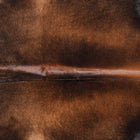 files/8748_b_731954d7-4386-4e5e-9f6a-2c0782e101f6.jpg