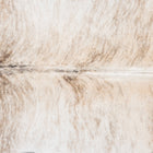 files/8765_b_8cb68c8d-9b54-4b91-a486-9d47e3c0618e.jpg