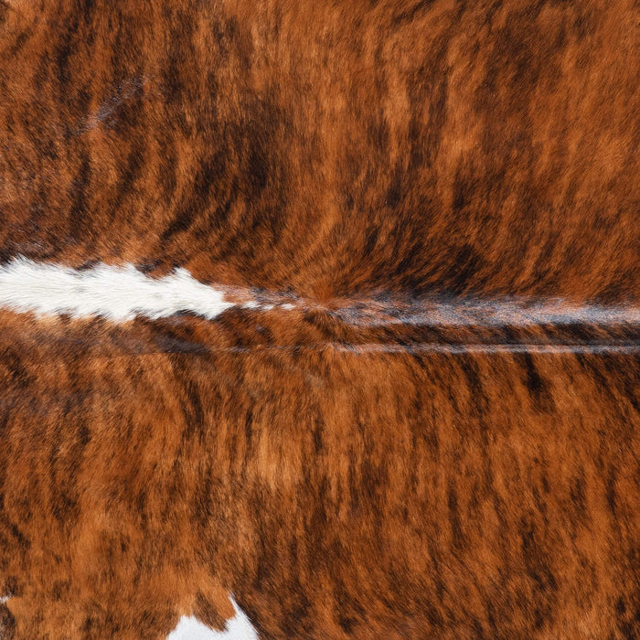 Brazilian Brindle White Belly and Backbone Cowhide Rug Size 8'0" L x 6'9" W 8772