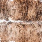 files/8776_b_a379123b-4407-4011-85ed-e0d22382ed05.jpg