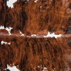 files/8779_b_2ddcc7d2-f712-45a1-9dc3-a0c603af4a1e.jpg