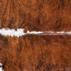 files/8780_b_1d185f99-2360-4e48-a45c-81945c6159e4.jpg