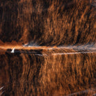 files/8781_b_02207eb0-85b4-44eb-8f0a-7ca961096ff4.jpg