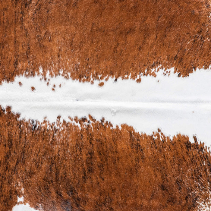Brazilian Brindle White Belly and Backbone Cowhide Rug Size 6'7" L x 6'7" W 8784
