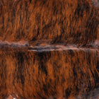 files/8796_b_c2ee37e9-367d-49fb-9530-a1747b40d2eb.jpg