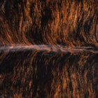 files/8811_b_a5ed2247-dec9-4642-b607-f7ea5f254e63.jpg