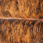 files/8827_b_70b23bd0-f30e-430a-b649-ef5a23fc963f.jpg