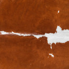 files/8837_b_25b864d2-57bb-41dc-b2f7-809b7e038d12.jpg