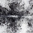 files/8854_b_8a4b6db3-cbf2-44e0-a644-9ef3b7cb0d3f.jpg