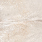 files/8856_b_387eb61b-b38b-4225-9dc0-bff22d01c700.jpg