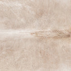 files/8859_b_e0b1043b-d7c0-4678-a114-4231f89da3dc.jpg