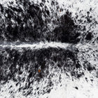 files/8893_b_41df3edb-e330-4068-9cdc-9a999b71c77c.jpg