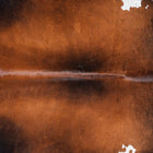 files/8894_b_53d1ea5b-b0cd-4b8f-8883-44e3519f236c.jpg