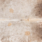 files/8902_b_01c46c90-671a-409e-abdc-716b758a18dc.jpg