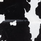 files/8927_b_b86084b2-bd80-4394-98b9-956e92df58f7.jpg