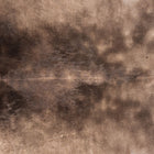 files/8929_b_2692784e-0c8f-4e3c-852d-1e208688ec6c.jpg