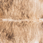 files/8940_b_351992ae-5f67-4372-bd0e-b28f65f58b23.jpg