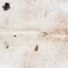 files/8950_b_487c275f-26c5-4e92-b43b-4d2d18856f90.jpg