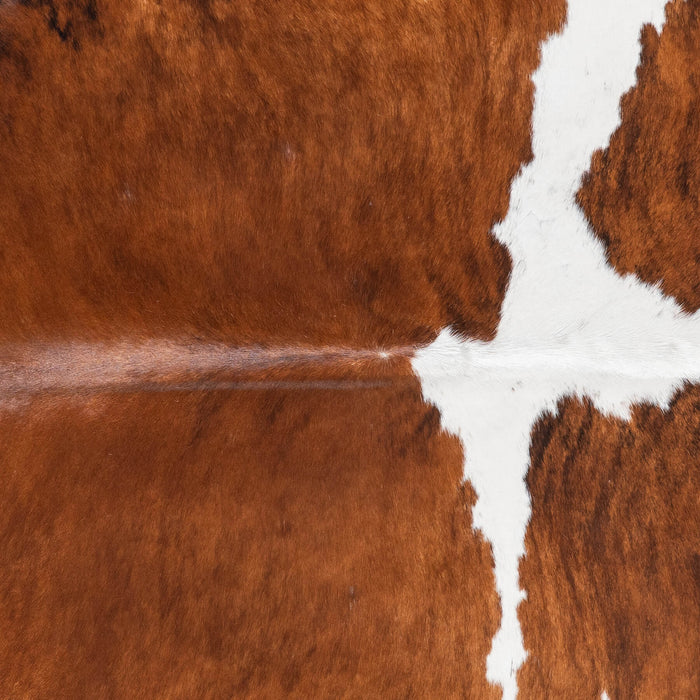 Brazilian Brindle White Belly and Backbone Cowhide Rug Size 7'10" L x 7'1" W 8953