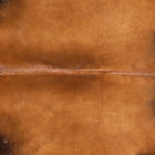 files/8966_b_578801b0-0c4f-466d-87f7-e1eb20e3d7a9.jpg
