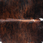 files/8971_b_e17c0513-aa65-4626-b7b1-e9543f53229d.jpg