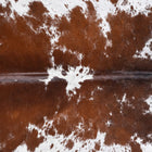 files/8977_b_eaa6b965-a704-4184-8a70-a6be79148372.jpg