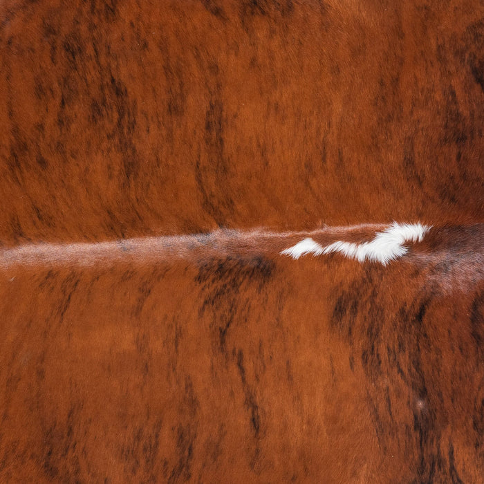 Brazilian Brindle White Belly Cowhide Rug Size 8'1" L x 7'5" W 8978