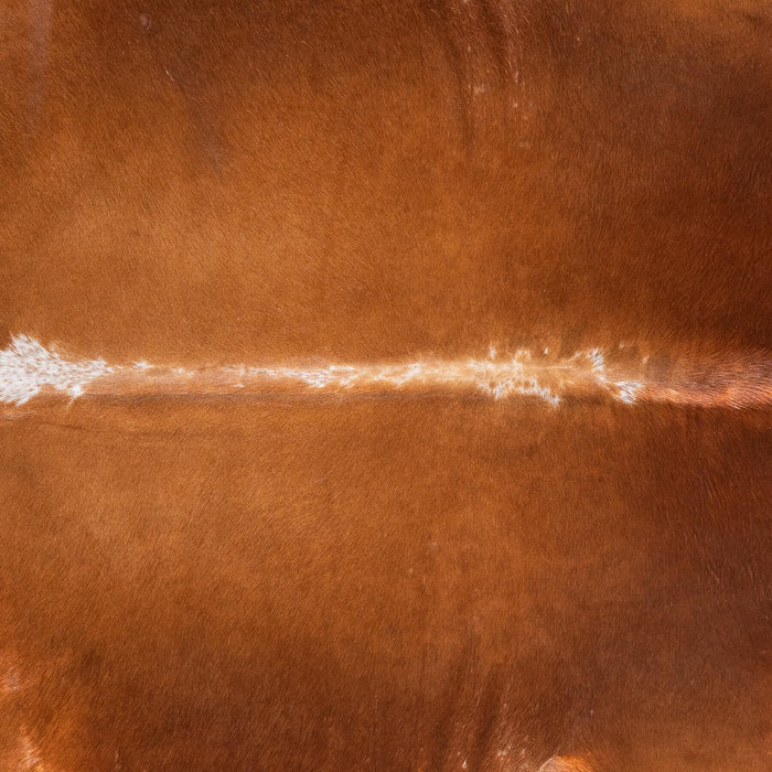 Brazilian Brown Cowhide Rug Size 8'0" L x 7'1" W 8980