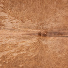 files/9007_b_e1359ed5-20b5-47b7-b7ff-a7a409291d0b.jpg