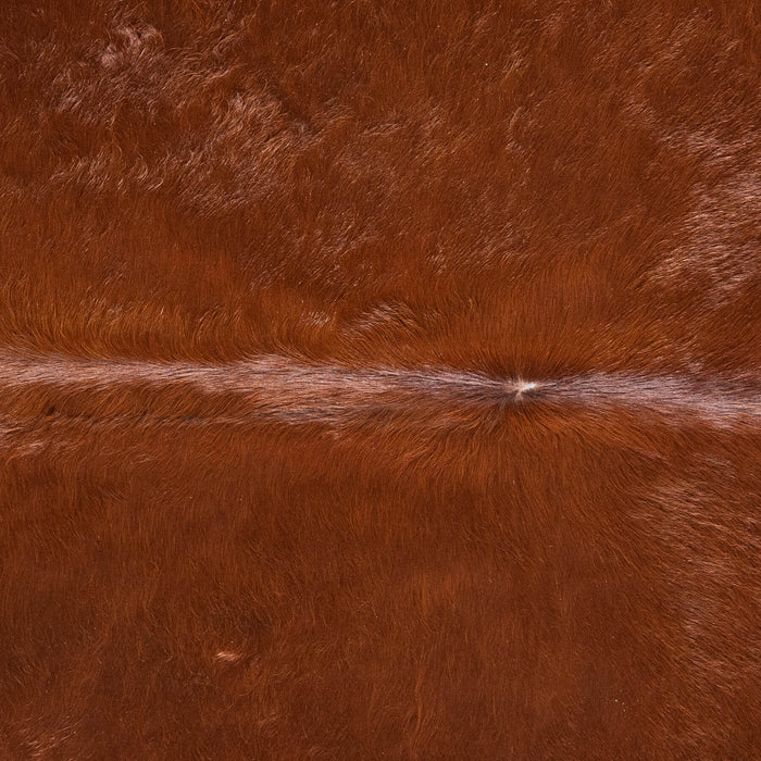 Brazilian Brown Cowhide Rug Size 7'4" L x 6'11" W 9010