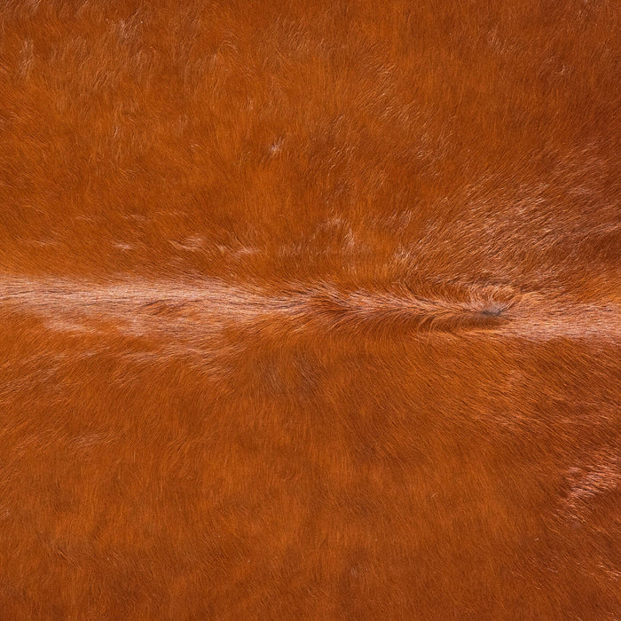 Brazilian Brown Cowhide Rug Size 7'4" L x 5'11" W 9012
