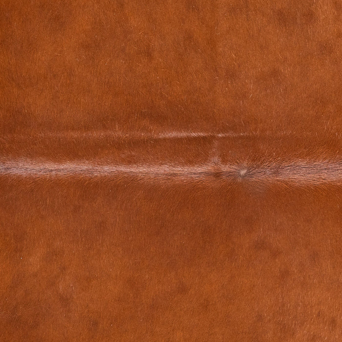 Brazilian Brown Cowhide Rug Size 6'3" L x 5'7" W 9014