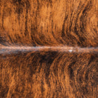 files/9041_b_dac645e3-c13d-4c06-95c7-d032403dc3f1.jpg