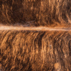 files/9042_b_085ac11c-f17e-42c9-9d24-1de3027c6204.jpg