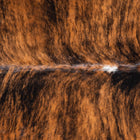 files/9051_b_8cb71434-bde2-49c7-b5b1-dcdb215e5c1d.jpg