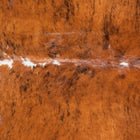 files/9053_b_4906d0e5-2dcb-4f9c-a5a7-3c99762e3cf4.jpg