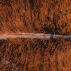 files/9058_b_ae415ec7-f381-4ab4-9ab1-2f2f785e0487.jpg
