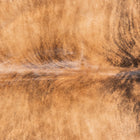 files/9060_b_11b7ee54-f898-4bae-b9ff-dd84c25ad0e1.jpg