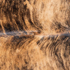 files/9061_b_c9a0287b-9cf6-4b1d-9d2f-911ace75319d.jpg