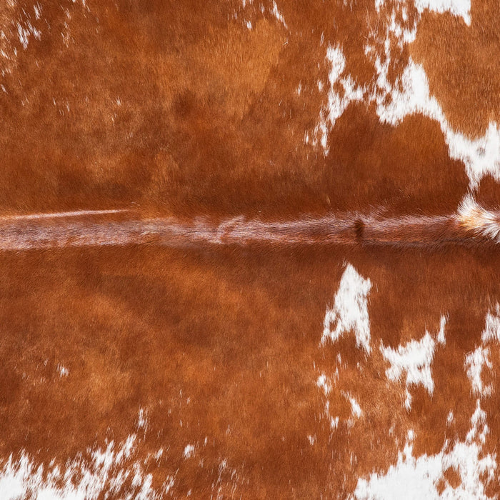 Brazilian Brown and White Cowhide Rug Size 7'11" L x 7'.4" W 9075
