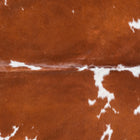 files/9084_b_273b4928-3eb0-4547-a36c-25676edb21b8.jpg