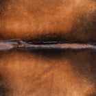 files/9095_b_656754cc-9a42-4932-9a61-3d9a8c32c5b1.jpg