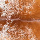 files/9153_b_0fae4108-054f-4176-9d80-e851fdd65d13.jpg